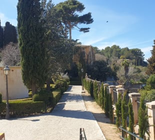 Stadtrundgang Valldemossa