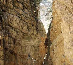 Weg durch die Schlucht
