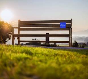 Wanderbank im Allgäu