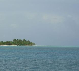 Isla Saona