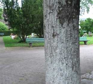 Friedhof Wittlensweiler