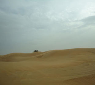 Wüstensafari