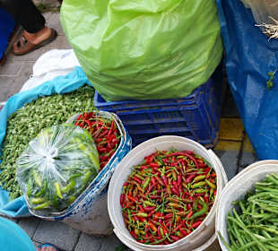 Basar Mahmutlar