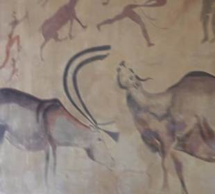 Museum Mensch und Natur