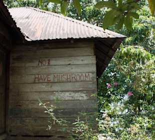 Zabudowania na wyspie