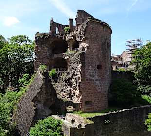 Schloss Heidelberg und Umgebung