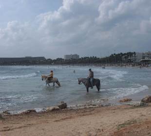Auf dem Wege zum " Catell "
