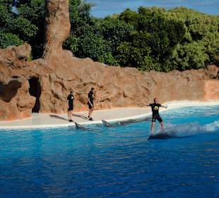 Loro Parque 