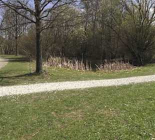 Sport- und Freizeitpark Markwasen