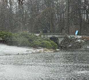 Łazienki Królewskie