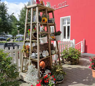 Im Garten des Marien-Cafés