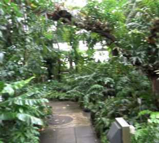 Tropicarium