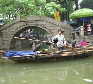 Boot mit Vögeln als Fotomotiv