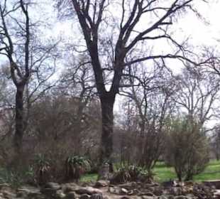 Botanischer Garten