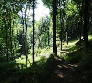Wanderung durch die Kleine Luxemburger Schweiz