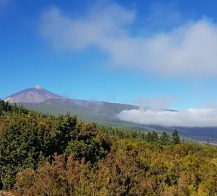 Mit einem Auto von Mertens zum Teide