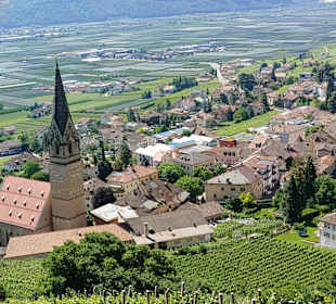 Wandern Termeno sulla Strada del Vino / Tramin an der Weinst
