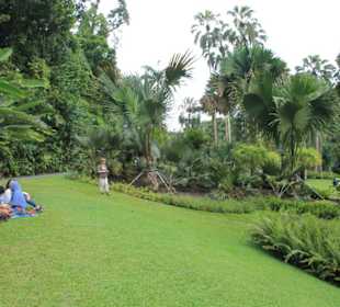 Botanischer Garten Singapur