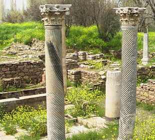 Aphrodisias