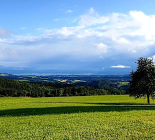 Wandern Wilhelmsdorf (Württemberg)