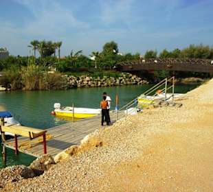 Inspirationen an d.Strandprom.entlang Nov.2010