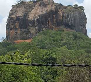 Ausflug Sigiriya (Wolkenmädchen)