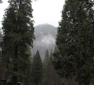 Yosemite Nationalpark