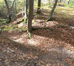 Höllenlöcher Hohenneuffen