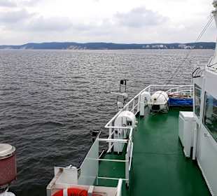 Ms Adler Vineta 