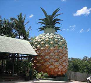 Big Pineapple