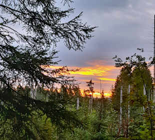 Wandern Sankt Oswald-Riedlhütte
