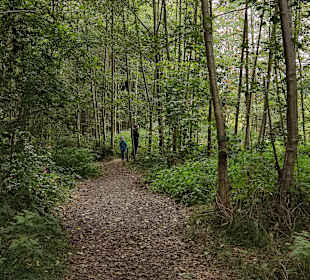 Wandern Schönberg