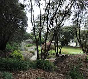 Kleiner Garten am Rande der Stadt