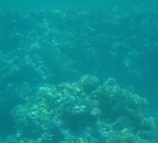Submarine Sharm