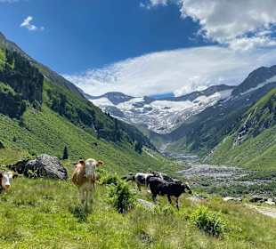 Schönbachtal
