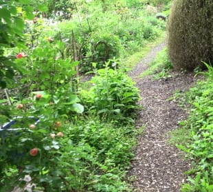 Mezger's Bürgle Park Salzstetten