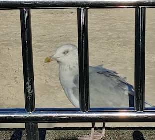Strand Kolberg/Kolobrzeg