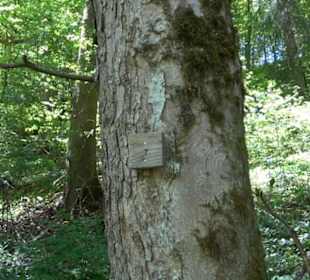 Magolsheimer Buchtalweg