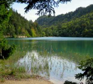 Blick vom Norden auf den See