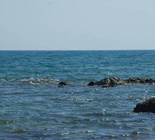 Hinaus auf`s Meer