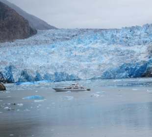 MS Zaandam liegt vor dem Gletscher