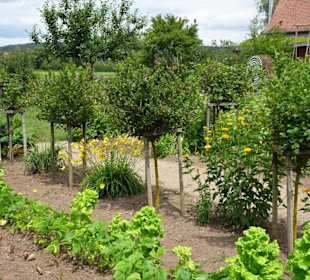 Impressionen aus dem Garten des Bauernmuseums