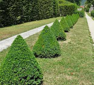 Impressionen aus dem Hofgarten Veitshöchheim