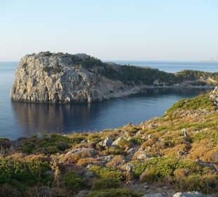 Zatoka - Anthony Quinn