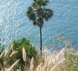 Aussicht vom Phromthep Cape