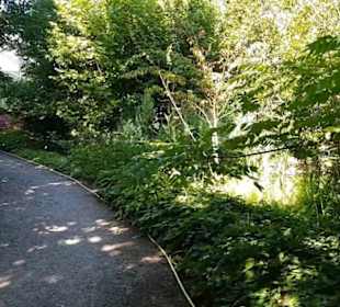Botanischer Garten