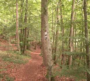Wanderrunde Emeringen zum Rechtenstein