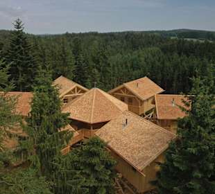 Baumkronenweg Kopfing