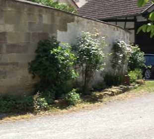 Kath. Kirche St. Anastasia Baisingen