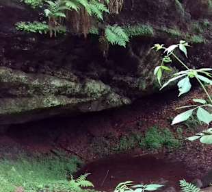 Seibelsbachfelsen in Rodalben